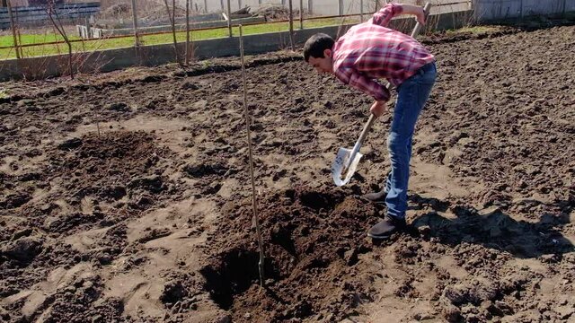 A man is planting a tree in the garden. Selective focus.