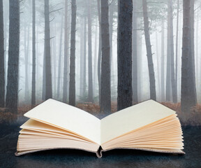 Pine forest Autumn Fall landscape foggy morning coming out of pages in imaginary book