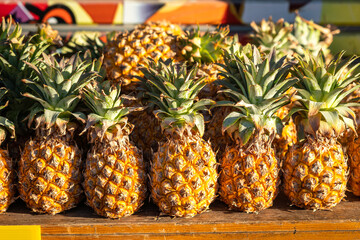 Row of ripe pineapples in large sizing which is placed on the table, for sale in local fruits market.