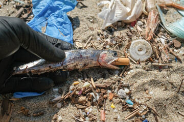 Man hold dead anchiovies with cigarette butt in the mouth on contaminated sea coast,waste pollution