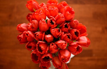 bouquet of flowers tulips
