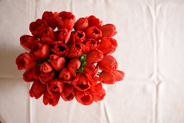 bouquet of flowers tulips

