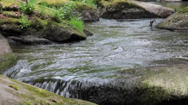 Fr&uuml;hsommerlicher Flusslauf im Wald, Wasser &uuml;ber Felsen, Waldnaab, Waldnaabtal