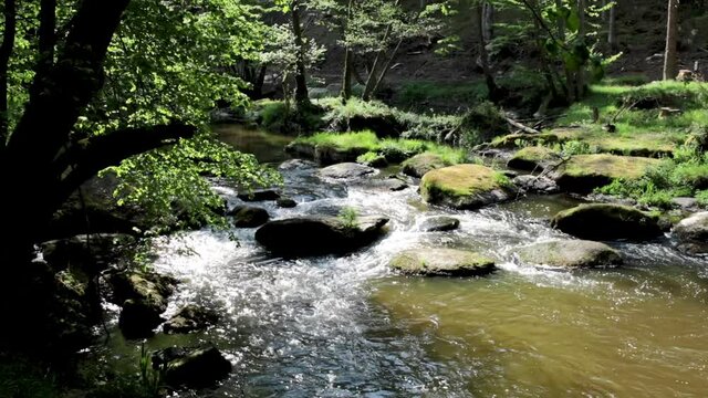 Fr&uuml;hsommerlicher Flusslauf im Wald, Wasser &uuml;ber Felsen, Waldnaab, Waldnaabtal