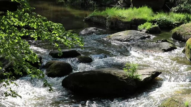 Fr&uuml;hsommerlicher Flusslauf im Wald, Wasser &uuml;ber Felsen, Waldnaab, Waldnaabtal