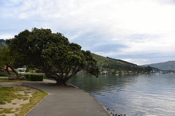 New Zealand- Akaroa- Panorama of Village and Shoreline
