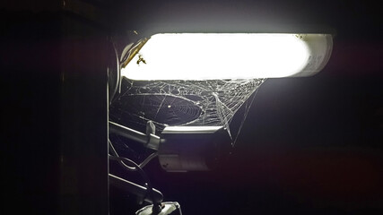 駐車場の監視カメラと蜘蛛の巣