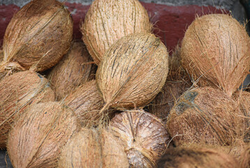selective focused view of coconuts in Haridwar, Uttarpradesh, India
