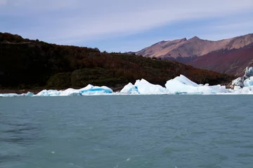 Fotobehang Melted fragments of Perito Moreno glaciar floating on a green lake © Felipe