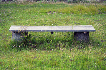 草地にある木製のベンチ