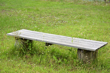 草地にある木製のベンチ