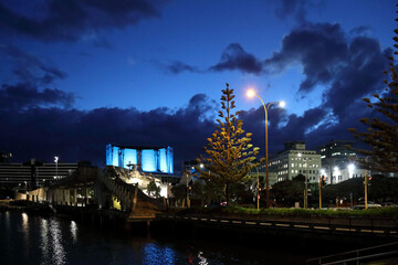 Fototapeta premium Wellington City / Wellington City /