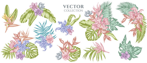 Flower bouquet of pastel monstera, banana palm leaves, strelitzia, heliconia, tropical palm leaves, orchid © Sad
