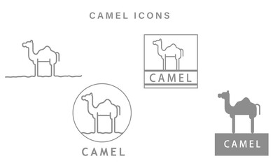 Camel icons on white background