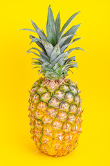 Whole pineapple fruit on bright background. Photo