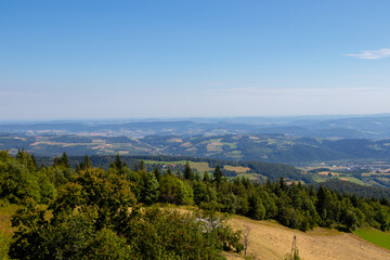 view from the top of the hill