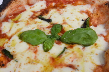 Pizza Margherita