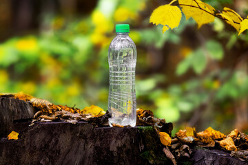 Obraz premium Bottle of clean drinking water in the autumn forest on a stump