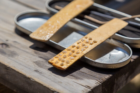 Closeup shot of kambo amazon frog poison medicine for body detox