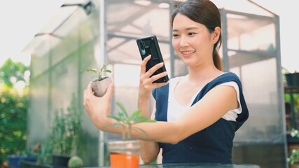 Young Asian women using smartphone photographing his plants post on social media. Smiling Asian woman new generation, have confident and lively is owner of start up business of sell tree online.