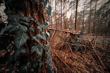 Decayed crooked tiny hut made of wooden planks in a forest, with surreal colors