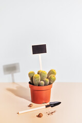 Composition with a cactus in a pot, a spatula and an inscription board. Home decor and gardening concept. Hobbies growing home plants and gardening apartments