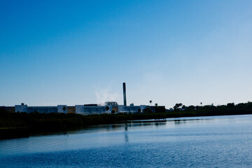 Fototapeta premium Morning of Tampa Bay beach in Tampa, Florida 
