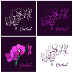 Four variants of the orchid flower logo. Vector illustration