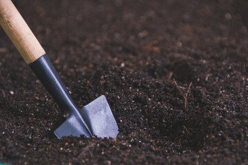 Small shovel in ground for planting seedlings. Gardening, tools for plant care. Spring work on garden - 428444923