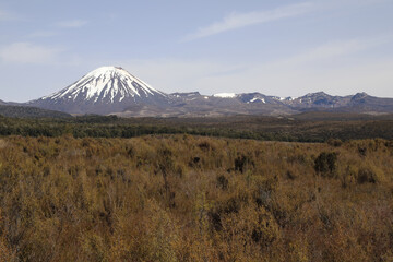 Mount Ngauruhoe Neuseeland / Mount Ngauruhoe New Zealand © Ludwig