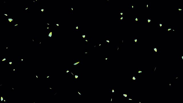 4k video footage of falling heart-shaped leaves with alpha channel.