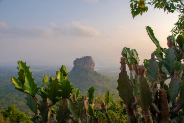 Dambulla Berg Pidurangala Sigiri auf Sri Lanka