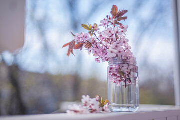 pink spring flowers in a jar on a sunny day, a bouquet of flowers in a transparent vase, pastel gentle romantic still life (nature morte) apple blossom, copy space selective focus