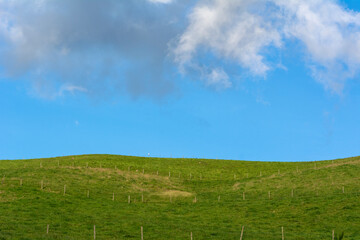 green field and blue sky