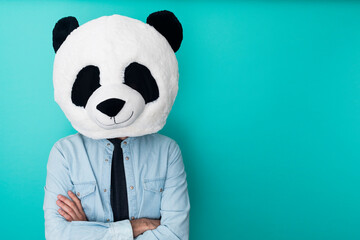 Confident man wearing panda mask standing against aquamarine background - Copy space on the right...