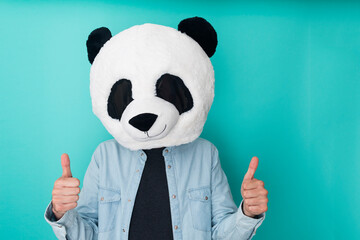 Isolated young man in panda mask doing thumbs up gesture - Success sign doing positive gesture with...