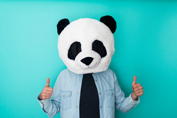 Optimistic man in panda mask with thumbs up against blue background. Success sign doing positive...