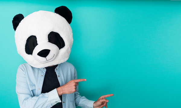 Funny man in panda mask pointing fingers to the side over aquamarine background - Copy space