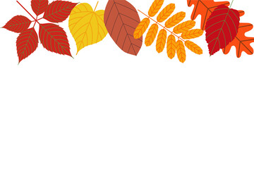 Vector background with red, orange, brown and yellow falling autumn leaves.