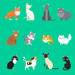 Funny cartoon cats characters different breeds cute pet animal set, vector illustration