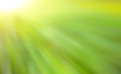 Abstract background. gradient green yellow. use for graphic design, space for text.