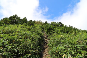 Fototapeta na wymiar 福島県の裏磐梯の西大顚から西吾妻山の登山 