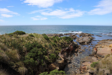 Obraz premium Küste Otago Halbinsel / Otago Peninsula coast /