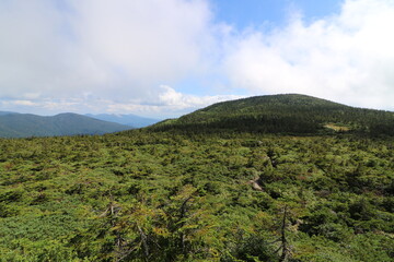 Fototapeta na wymiar 福島県の裏磐梯の西大顚から西吾妻山の登山 