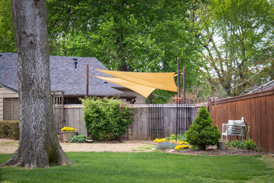 Yard of fun house in early spring with Shade sails and privacy fence and harge trees - landscaping and outside seating.