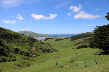 K&uuml;ste Otago Halbinsel / Otago Peninsula coast /
