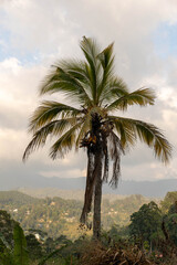 Ella Natur Paradies auf Sri Lanka