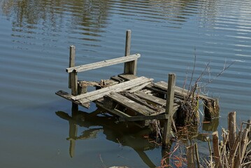 Fototapeta premium old broken gray wooden footbridge over lake water near the shore