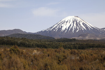 Fototapeta premium Mount Ngauruhoe Neuseeland / Mount Ngauruhoe New Zealand