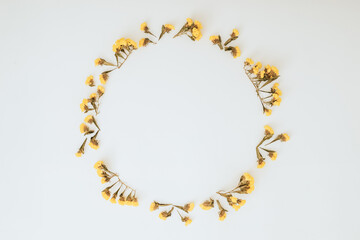 Round frame made of yellow flowers on white background. Flat lay, top view.
